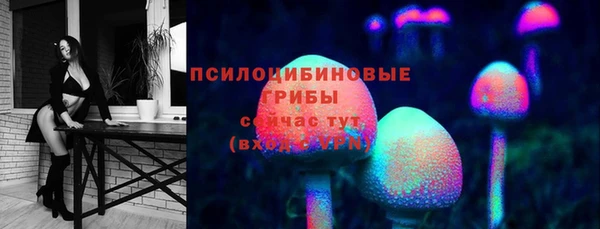 гидропоника Верея