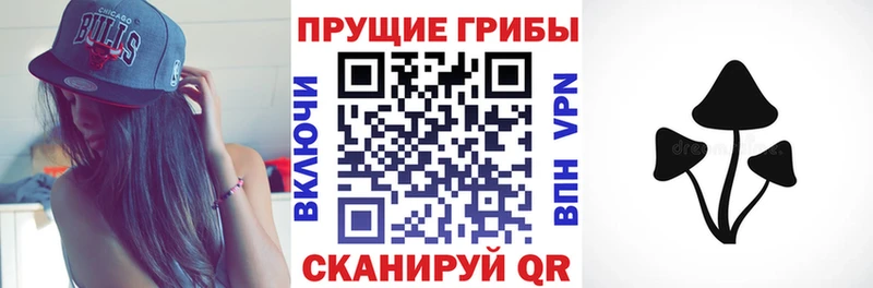 Галлюциногенные грибы MAGIC MUSHROOMS  Купить где  Лесосибирск 